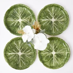 Alpine Lettuce Starter Plate (Set Of 4)