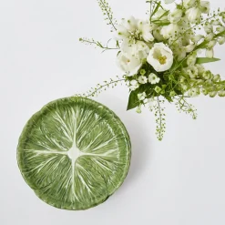 Alpine Lettuce Starter Plate (Set Of 4)