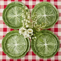 Alpine Lettuce Starter Plate (Set Of 4)