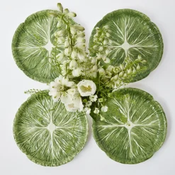 Alpine Lettuce Starter Plate (Set Of 4)