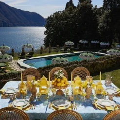 Blue Coral Dinner & Starter Plates (Set Of 8)