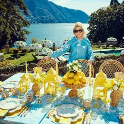 Fleur Yellow Placemats & Napkins (Set Of 4)