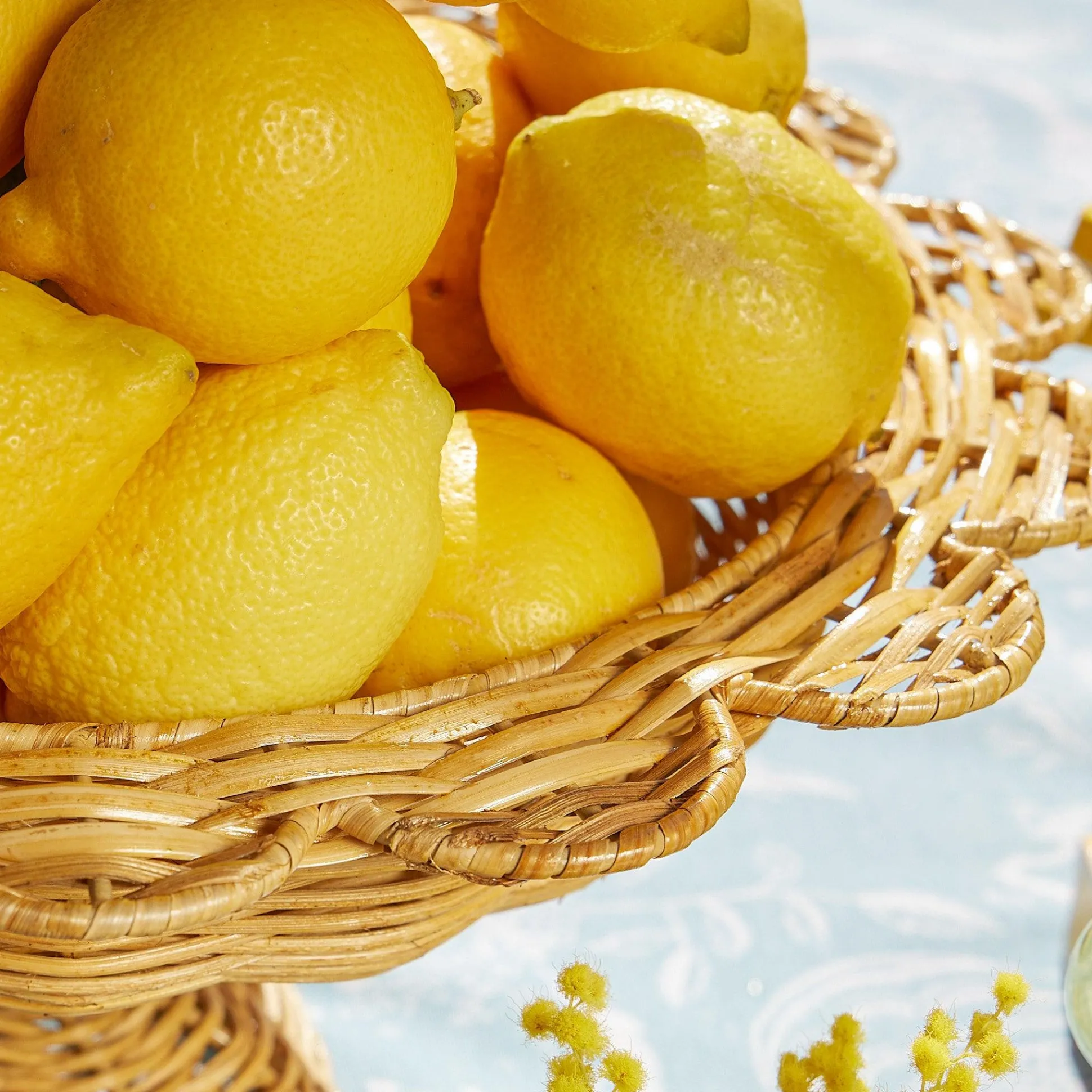 Luciana Rattan Scalloped Bowl