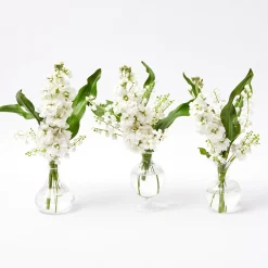 Nancy Bud Vase (Set Of 3)