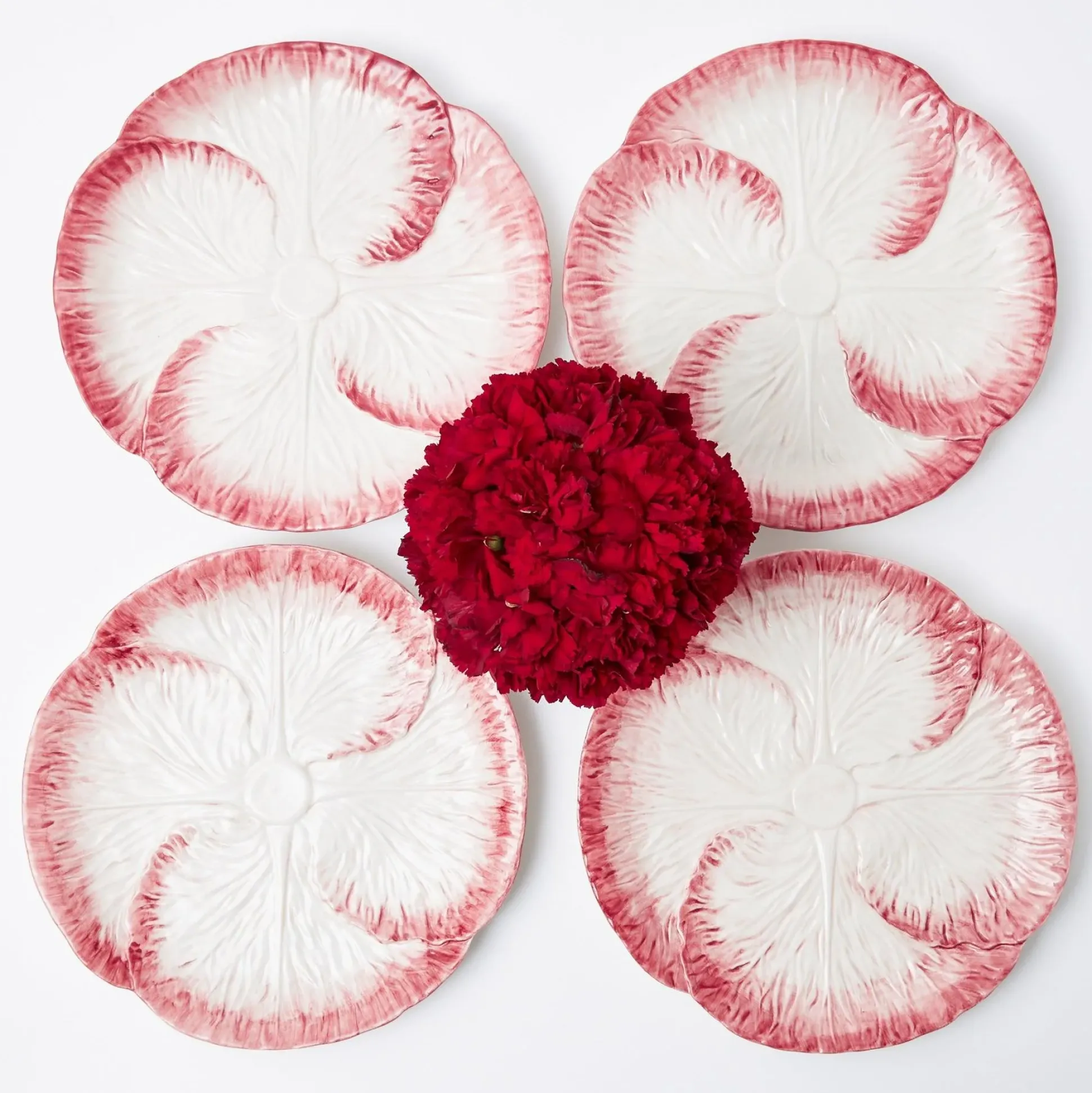 Pink Capri Lettuce Dinner Plate (Set Of 4)