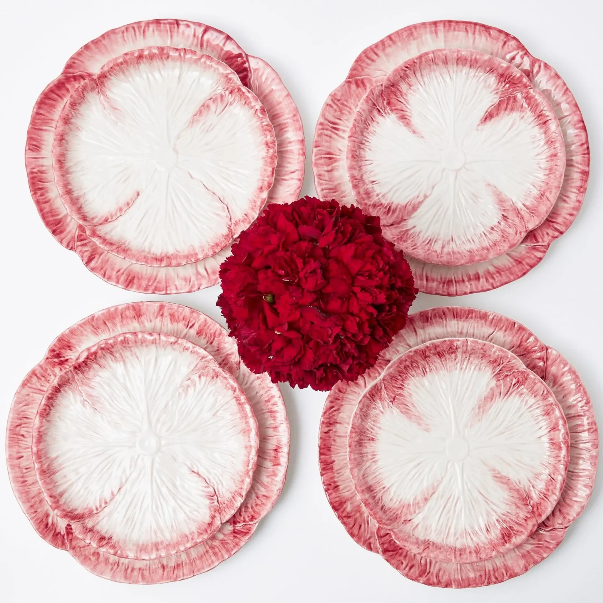 Pink Capri Lettuce Dinner Plate (Set Of 4)