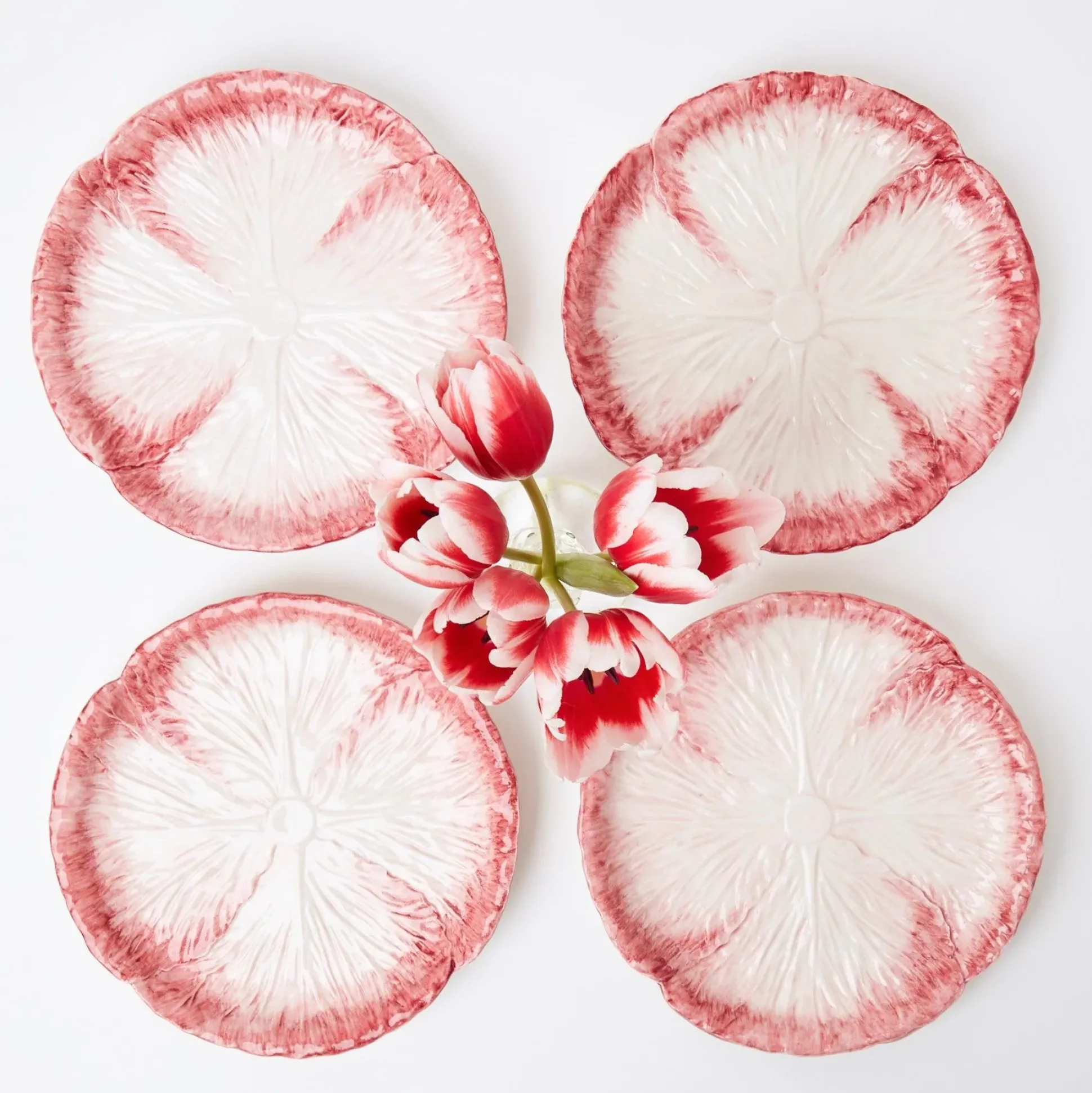 Pink Capri Lettuce Starter Plate (Set Of 4)