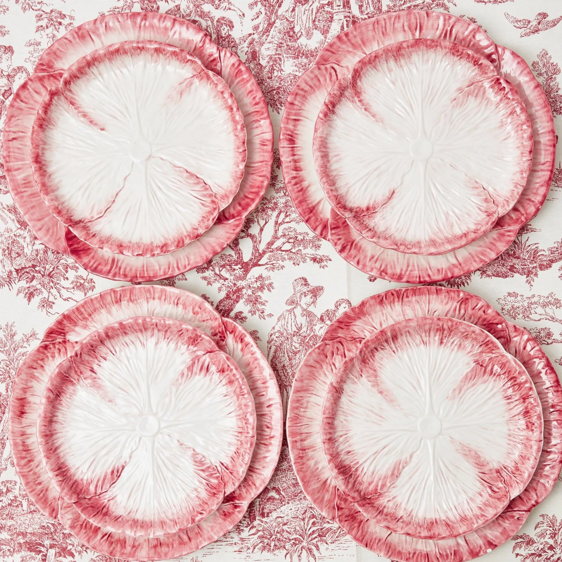 Pink Capri Lettuce Starter Plate (Set Of 4)