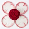 Pink Capri Lettuce Starter Plate (Set Of 4)