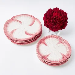 Pink Capri Lettuce Starter Plate (Set Of 4)