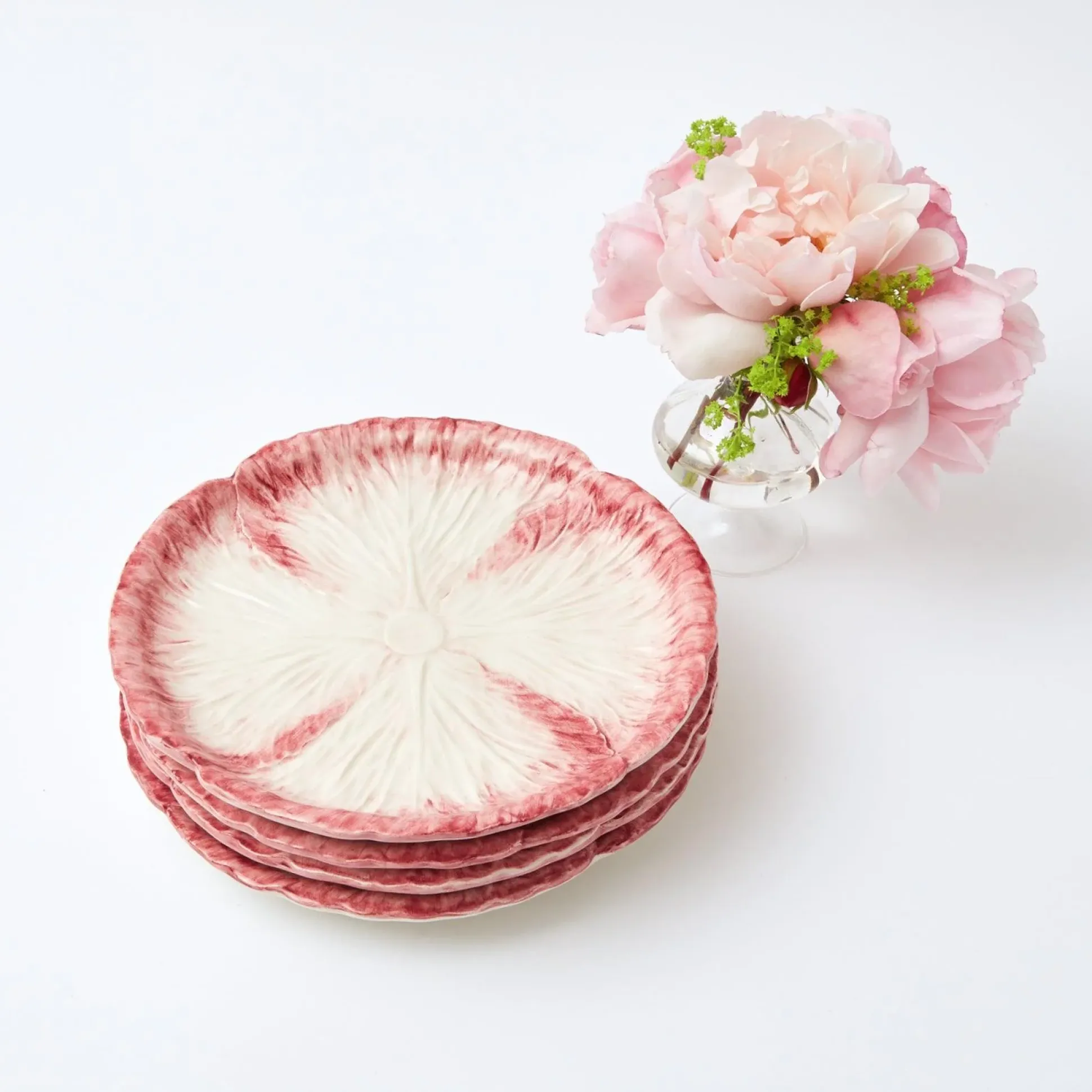 Pink Capri Lettuce Starter Plate (Set Of 4)