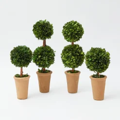Potted Boxwood Decoration Set