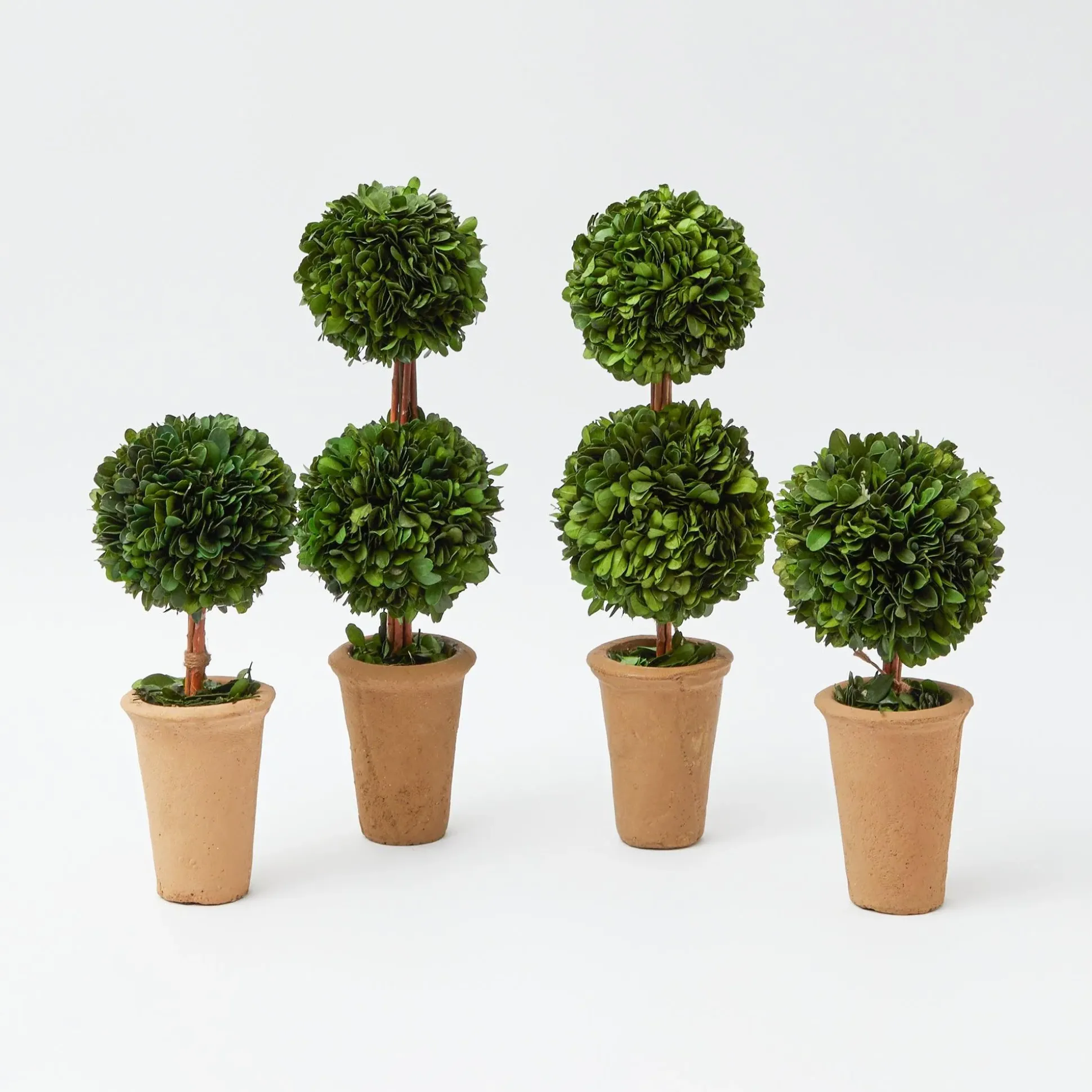 Potted Boxwood Decoration Set
