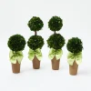Potted Boxwood With Green Bow Decoration Set