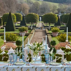 Serena Applique Blue Placemats (Set Of 4)